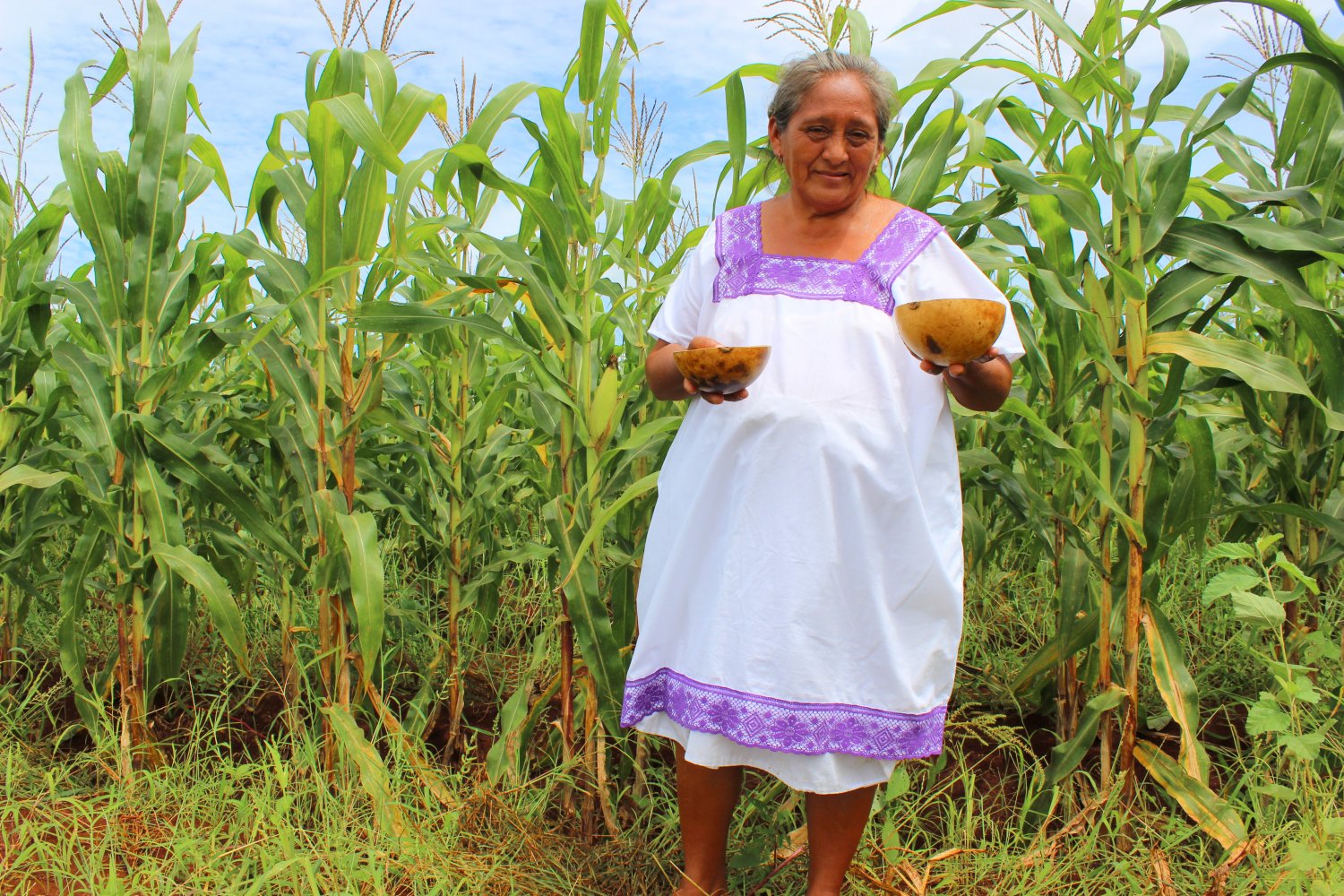 D A Internacional De Las Mujeres Rurales De Octubre Irvichz